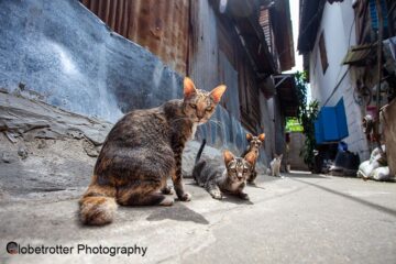 Bangkok - Street Photography